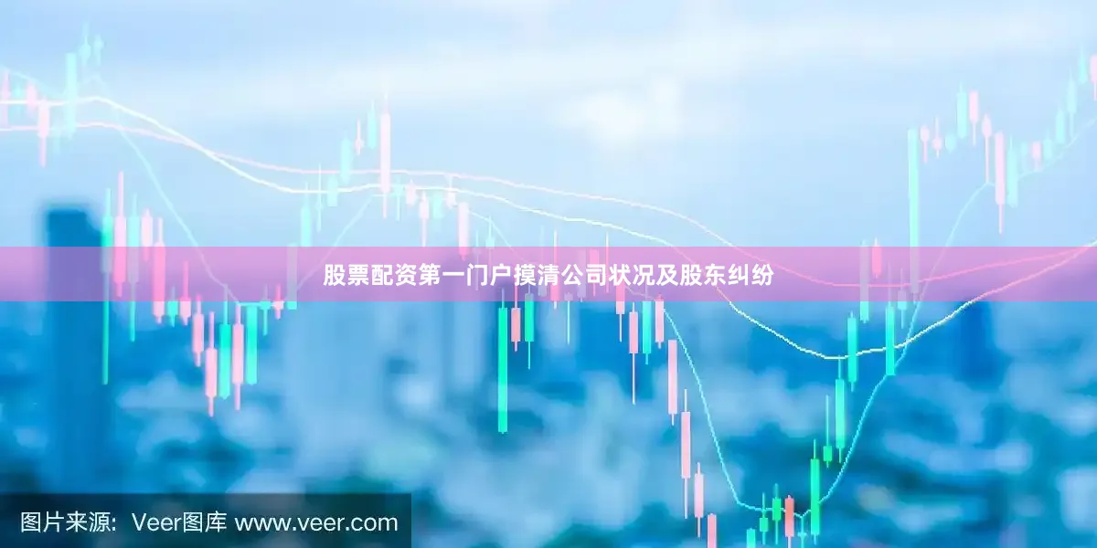 股票配资第一门户摸清公司状况及股东纠纷