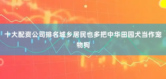 十大配资公司排名城乡居民也多把中华田园犬当作宠物狗