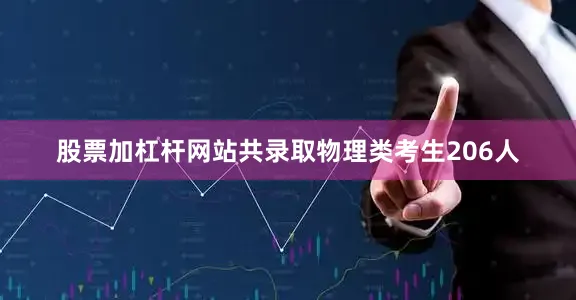 股票加杠杆网站共录取物理类考生206人