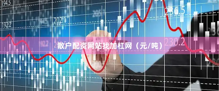 散户配资网站找加杠网（元/吨）